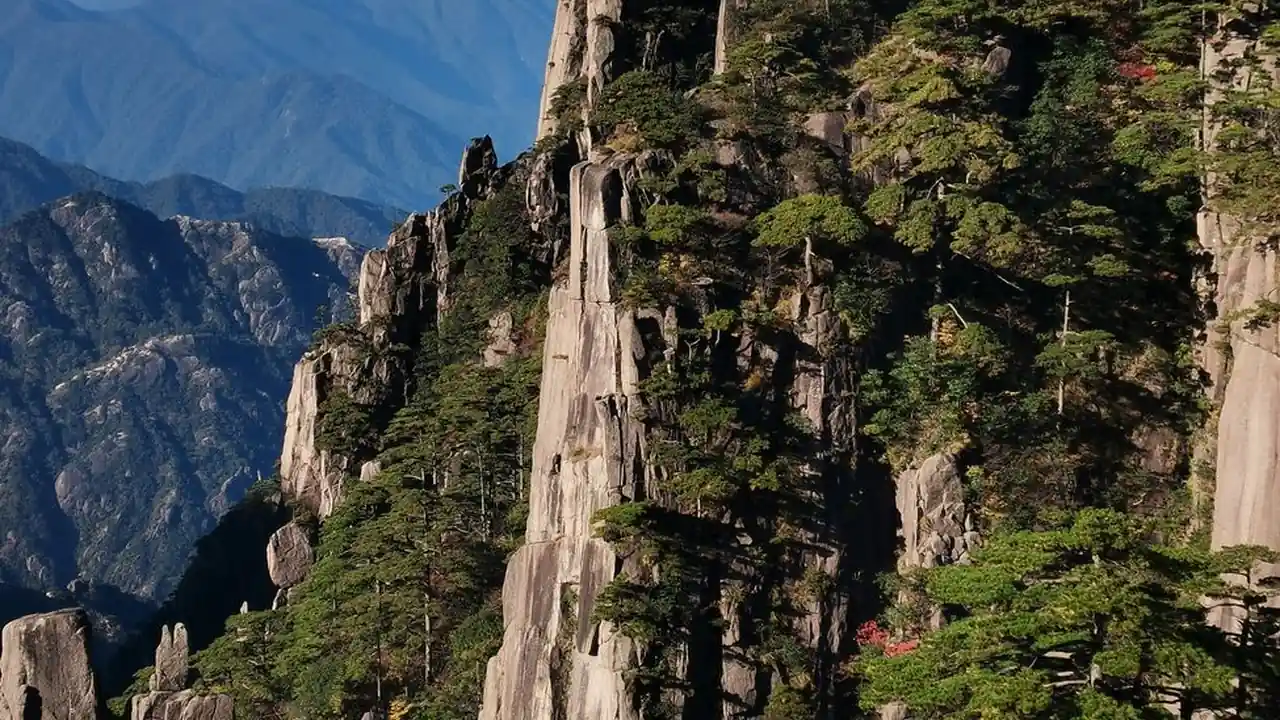 陈亭贞头像