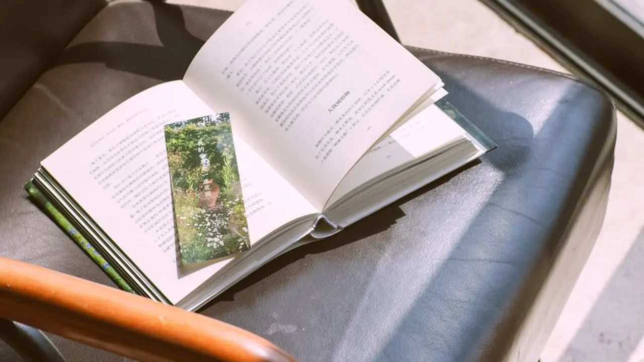 蓝莓的视频免费版官方版获取与使用指南