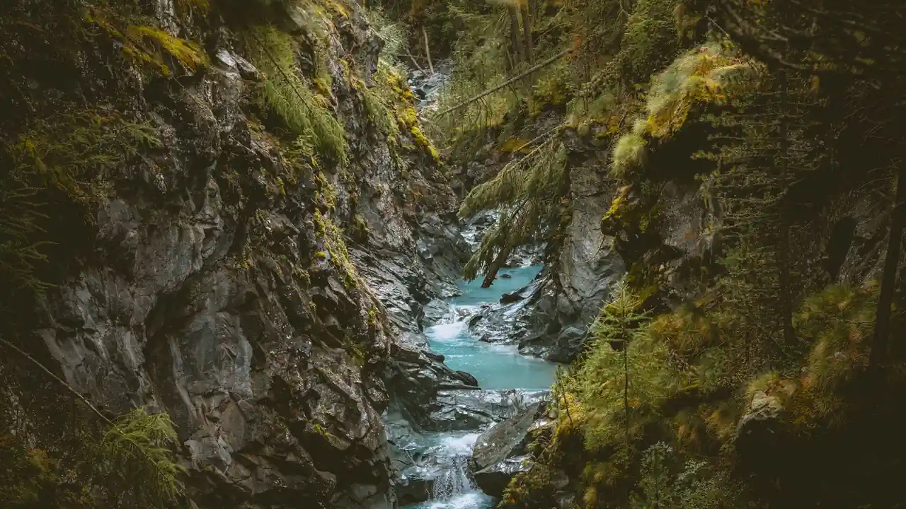 观看日批动态视频时的常见问题与选择注意事项