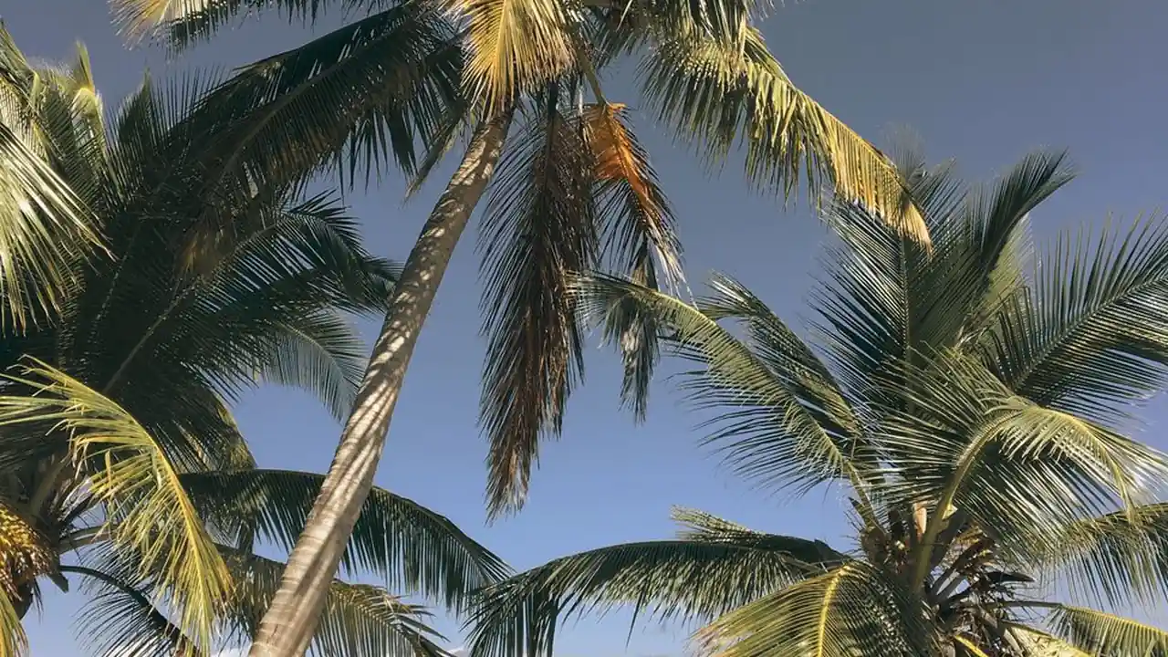 郭怡伶头像